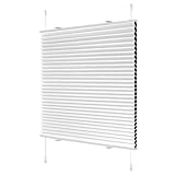 Wabenplissee ohne Bohren Verdunklung Plissee Klemmfix ohne Bohren Weiß-Weiß 40x130cm(BxH) Thermo Doppelplissee 100% Blickdicht Jalousie für Fenster ohne Bohren Sanfree