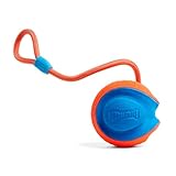 Chuckit! CH 32220 Rope Fetch