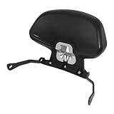 Gepäckträger Motorrad Kompatibel Mit ADV 350 2023 2024 Sissy Bar Hinten, Beifahrer-Rückenlehnenhalterung, Rückenlehnen-Heckträger, Unterstützung Für Beifahrer-Haltegriff