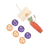 Angoily 8stücke Kleintier Kauspielzeug Teiliges Molarspielzeug Für Meerschweinchen Kaninchen Und Hamster Mit Mittlerem Grasrohr Mittlerem Gurkenfaserstück Sicher Und Natürlich Für