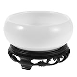 GARIOUANS Dekorativer Blumenpot blumentopf Orchideenschalen-Pflanzgefäß Hydroponischer Pflanzer Pflanzgefäß im asiatischen Stil runde Pflanzschale hydrokultur Topf Hydrokulturbehälter White