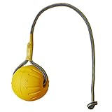 Yililay 3-Zoll-Hundeball am Seil, gelber Gummiball, Hundespielzeug, interaktives Training, Kau- und Zahnungsspielzeug zum Belohnen, Apportieren, Spielen