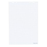 Herlitz 10834141 Flipchartblock, 68x99cm (kariert/gelocht), 5 Blöcke (20 Blatt je Block) (1, Blöcke ohne Zubehör (je 5 im Karton))