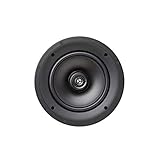 Martin Logan IC8-AW Allwetter-Lautsprecher (8 Zoll)