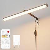 irotine Schwarz Bilderleuchte mit Fernbedienung Plug in,4W Dimmbare Bilderlampe Plugin mit Timer,3000K-6000K Bild Beleuchtung,Drehbares Bilderrahmen Beleuchtung,LED Bildbeleuchtung