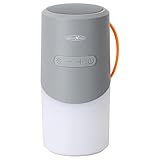 Reflexion BTX705 Bluetooth Lautsprecher Grau mit LED-Licht | Kabelloser Musikbox mit 40W Sound, IPX Schutz & MicroSD Slot | USB-C, 3 Std. Wiedergabe | Kompakt & tragbar