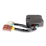 Gleichrichter Spannungsregler Kompatibel Mit Aprilia Für ETV1000 Für Capo Nord 2001 2002 2003 2004 2005 2006 2007 Motorrad-Regler-Gleichrichterstecker AP8124831