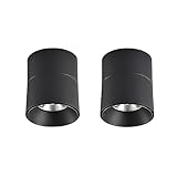 IOEDHW Creative Downlight Verstellbarer Winkel, beleuchteter Projektor, Gehäuse aus Aluminium, seitliche Lichtdurchlässigkeit, LED-Deckenleuchte, moderne kommerzielle Lampen für Galerie