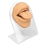 Zungen-Mund-Modell, Silikonrahmen Lernrealistisches Zungenmodell mit Acrylhalter Zum Üben des Piercings (Hautfarbe)