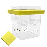 Betta Aufzuchtbehälter – Isolationsbox für Aquarien, Guppy-Fischzuchtbox, Fischzuchtkasten | Garnelenzuchtbox zur problemlosen Platzierung, Mai