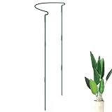 Gungtj Unterstützung Für Pflanzen | Halbrundes Metall Rankgerüst,Kletterpflanzen-Halterung | Für Hobbygärtner Gemüse Balkon Innenbereich Außenbereich Gewächshaus Terrasse Blumen Garten Anfänger