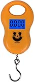 Tragbare Grammwaage, Elektronische Angelfeder-Tragwaage, Mini-Elektronische Waage, Hebezeug-Styling-Box, Gewicht 50 kg, Federwaage