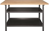TrendLine Werkbank Arbeitsbank Tischlerbank 120 x 60 x 85cm 2 Ablageböden Arbeitstisch Werktisch grau pulverbeschichtet
