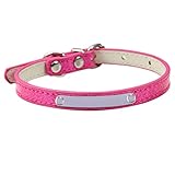 TONYFY Einstellbar Personalisierte Leder Haustier Halsbänder, Kostenlose Gravur Haustier Name Telefon, Verhindern Verloren für Katzen und Welpen, für Welpen Kleine Mittlere Große Hunde (Rose-2XL)