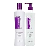 Fanola No yellow Silber-Glanz-Shampoo Anti-Gelbstich, 350 ml & No Yellow Mask neutralisiert Gelbtöne, Haarmaske Anti Gelbstich, Silbermaske pflegt aufgehelltes, gesträhntes & graues Haar, 350ml