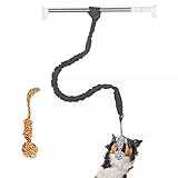 LINGJIONG Seilschleppspielzeug für Hunde, Interaktives Tether Tug Toy, Robustes Dental-Hundeseil-Spielzeug-Set für mittelgroße Hunde, Baumwoll-Welpen-Zahnkauspielzeug, Seil-Schlepper-Spielzeug