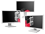 24 Zoll Business Computer Monitor, Desktop Gaming Monitor, Full HD (VGA - DVI - VESA), PC Bildschirm, Weiß/Grau (Generalüberholt)