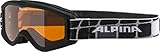 Alpina Skibrille, Black matt, One Size