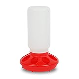 Quailzz Lochfutterautomat 1kg - red - Wachteln Hühner Geflügel Enten Gänse Fasane