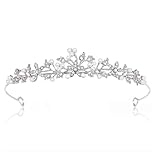 SSyang Krone Prinzessin Mädchen Damen Diadem Crown Kristall Tiaras Prinzessinnenkrone Eleganter Queen Brautschmuck Strass Stirnband Geschenk Haarschmuck für Frauen Hochzeit Tanzparty,14*2.5cm(Silber)