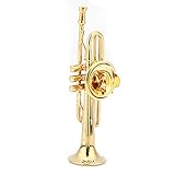 Yuecoom Trompetenbrosche, Exquisite Brosche in Form von Musikinstrumenten, Damen-Kleiderclip Mit Etui Als Geschenk(S)