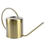 DOITOOL Gießkanne aus Edelstahl mit Langem Ausguss Kapazität Ergonomischer Griff Rostfrei und Langlebig für Zimmerpflanzen und Gartenbewässerung Geeignet