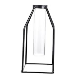 LOLIPPYY Eckige Glasvase mit Eisenrahmen Dekoratives Hydroponik blumengefäß Hitzebeständig Vielseitig für Tulpen Rosen Zweige als Geschenk für Zuhause und Büro