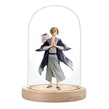 AKOLAFE Glasglocke mit Holzboden 16cm Hoch Glaskuppel Deko 10cm Durchmesser Glashaube Glasglocke Transparent Glasglocke Deko für Puppen, Kerzen, Sammlerstücke