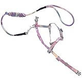 POPETPOP Hundegeschirr und Leine bodentrampolin Outdoor hundegurt Hundeleine Dog Accessories Anti-Zug-Hundehalsband Hundeschlupfleine hundegeschirr Leine Traktionsgeschirr für Hunde Nylon