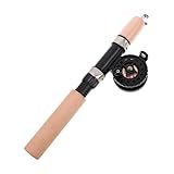 Toyvian Eisfischerruss -Set Teleskop-Angelrute und Rolle Eisfischereiwerkzeug Kit kompakte Angelrute Kompakte Angelausrüstung für Süßwasser ausziehbare