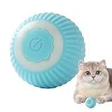 Bewegen von Ball für Hunde, Hundespielzeug automatischer Rolling Ball - aktive rotierende Kugelbewegung Hundeprodukte für Haustierbesitzer Innen im Freien