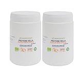 Benessence - Pflanzliches Proteinpulver aus biologischem Kürbispulver - 2 x 500 g - mit 60% Protein für das Wohlbefinden von Muskeln und Knochen
