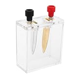 Healifty Salzwasser Stromerzeugungsgerät Für Schüler Physik Experimentierkasten Mit Vollständigem Satz Biologie Mittelstufe Naturwissenschaftliche Schulprojekte