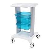 HPDTZ Rollwagen Beistellwagen mit 2 Schubladen und 4 Rollen Mobiler Servierwagen Arbeitswagen für Kosmetikstudio Praxis Büro Transportwagen 44.5 x 41.7 x 75 cm