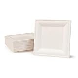 GREENBOX Umweltverträgliches Bagasse Geschirr Einweg | 50 Stück Zuckerrohr Teller weiß eckig gebleicht 16x16 cm | Bio Einweggeschirr Speiseteller Einwegteller Partyteller Einmalgeschirr