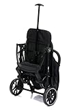 Fill Sportwagen Buggy Rover mit Transportsicherung Exklusiv | Leichter Jogger Buggy mit Einhand-Faltsystem, verstellbarer Rückenlehne & 5-Punkt Sicherheitsgurt | Mit Trolley-Funktion | Bis 22 kg