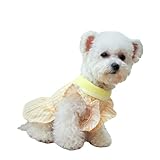 Hunde-Tutu, gelb, Tutu, Netzstoff, Hundekostüme für Haustiere, gelb und weiß, kariert, Gänseblümchen, Prinzessinnenrock, Teddybär, Hundekleidung (S)