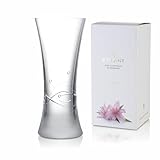 BRILANT Chic Runde Hohe Kristall Vase Glas - Blumenvase Modern, Zylindervase, Durchsichtige Vase für Elegante Akzente (26 cm)