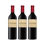 Boekenhoutskloof Franschhoek Cabernet Sauvignon Rotwein Rot trocken VEGAN Südafrika inkl. FeinWert E-Book (3 x 0.75 l)