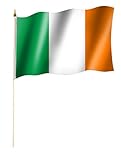 Stockflagge/Stockfahne IRLAND Flagge/Fahne ca. 30 x 45 cm mit ca. 60cm Stab/Stock