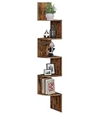 VASIHO Eckregal, Standregal, Bücherregal mit 5 Ebenen, Leiterregal, Aufbewahrungsregal, Pflanzenregal für Küche, Wohnzimmer, Industrial-Design, Büro JSJ003F