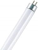 Osram Leuchtstoffröhren, Glas, 8 W, Warmweiß, 1 Stück (1er Pack)