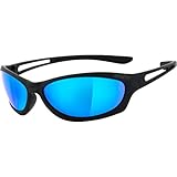 HELLY® - No.1 Bikereyes® | Bikerbrille, Motorrad Sonnenbrille, Motorradbrille | beschlagfrei, winddicht, bruchsicher | TOP Tragegefühl | Brille: flyer bar 3