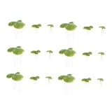 Toddmomy 18Pcs Künstliche Entengweed Aquariumsimulation Schwimmende Pflanzen Pflanzen Falsche Wassergras Simulierte Wasserpflanzen Aquariumpflanzen Plastik Aquarium Schwimmende Pflanzen
