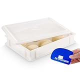 DIE BOX FABRIK 1x Pizzaballenbox Gusto + 1 Deckel, 40x30x7 cm | Gärbox, Teigwanne für Pizzateig. Teigbox für 6 Pizzaballen, Pizzateigbehälter (1x Gusto Box + 1x Deckel)