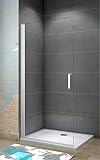 Aica Sanitär Walk-in Dusche Duschabtrennung Duschtür Größe 65cm,Höhe 185cm,5mm ESG Sicherheitsglas