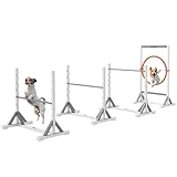 PawHut Agility Set Hunde 4-teiliges Agility-Ausrüstung für Hundetraining Steckhürdenset mit höhenverstellbar Hürden Reifen Trainingszubehör Koordinationstraining Agilityset für Spiele Training