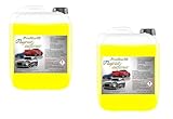 2x 5 L PN Flugrostentferner Vorreiniger Lackreiniger LKW Auto Fahrrad Rostentferner