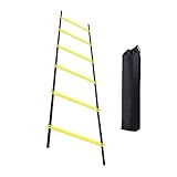 Qianly Koordinationsleiter mit Tragetasche, Fitnesszubehör für Fußball, Lauftrainingsgerät für Basketball, Fußball, Fußübungen, Volleyball, 300 cm, 6 Abschnitte