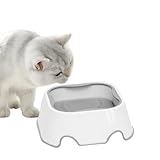 Brunnen für Katzen – schwimmende Wasserschale für Katzen, Spender mit Überlaufschutz, Futterstation und Zubehör für Kätzchen und kleine Tiere wie Kaninchen und Hamster